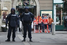 Fast sieben Jahre nach der tödlichen Schießerei am Wiener Lugeck wurde ein mutmaßlicher ...