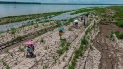 Das wiederkehrende Wetterphänomen El Niño führt unter anderem zu Dürren (im Bild: Kolumbien ...