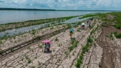 Ein rekordstarkes El-Nino-Phänomen wird zu Extremwetterlagen führen – Dürren (im Bild das Ufer ...