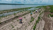 Ein rekordstarkes El-Nino-Phänomen wird zu Extremwetterlagen führen – Dürren (im Bild das Ufer ...