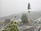 In Zell-Pfarre schneit es am Dienstag – und mitten drin, der Maibaum.