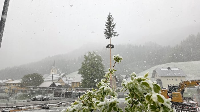In Zell Pfarre wurde sogar der Maibaum angezuckert.