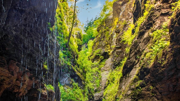 Die Raggaschlucht im Mölltal bietet ein spektakuläres Naturerlebnis. Gutes Schuhwerk ist hier ...