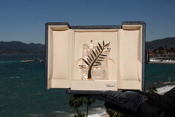 Und um sie dreht sich alles: Die goldene Palme von Cannes