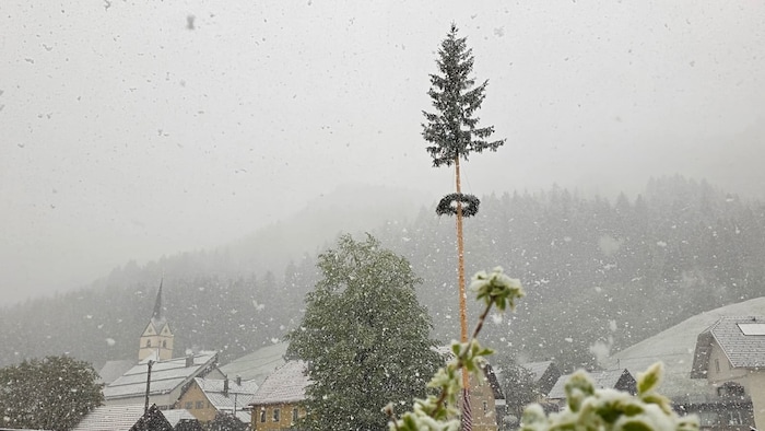 In Zell Pfarre wurde sogar der Maibaum angezuckert.
