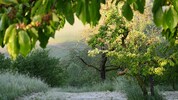 Derzeit messen sich Spätwinter und Frühsommer, am Ende wird die Hitze siegen.