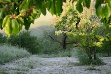 Derzeit messen sich Spätwinter und Frühsommer, am Ende wird die Hitze siegen.