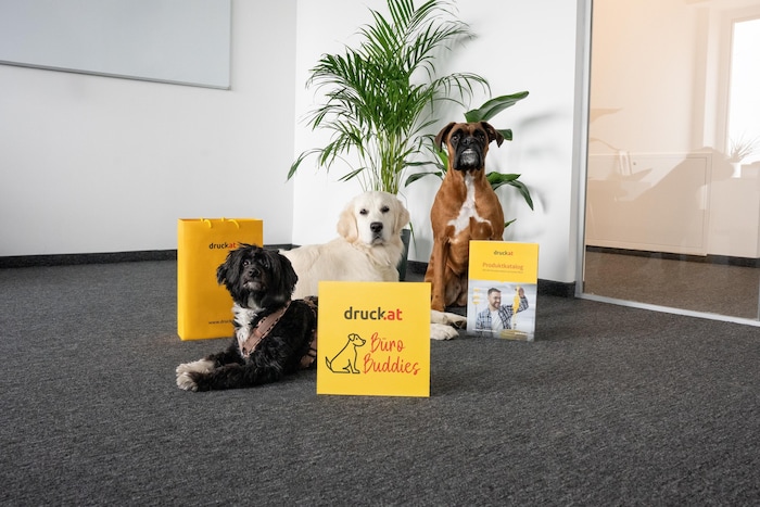 Eine eigene Hundeverordnung sorgt dafür, dass alles ruhig abläuft in den Büroräumen von ...