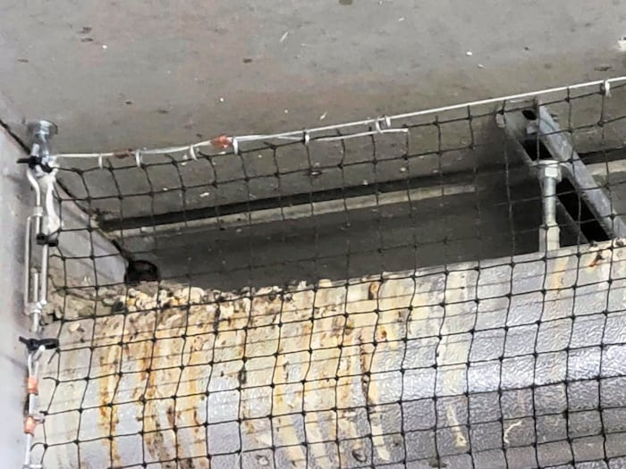 Die Hinterlassenschaften der Vögel ärgern manche Bewohner. Doch die Schwalben fanden einen Weg ...