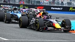 Max Verstappen soll ein großes Thema bei McLaren sein. 