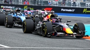 Max Verstappen soll ein großes Thema bei McLaren sein. 