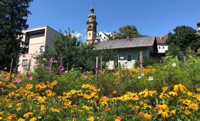 Das Klaraheim in Hall in Tirol wird umfassend saniert, das Land stellt dafür 10.000 Euro bereit.