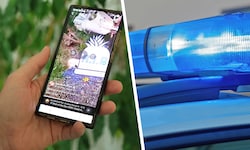 Das Video (links) zeigt Schläge mit der Schaufel, der Kopf der Katze wurde beim Aufruf nach ...