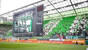 Der SK Rapid hat ein neues Buch auf den Markt gebracht.