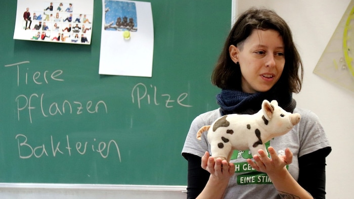 Zu rund 350 Vorträgen über Tierschutz wird der „Verein gegen Tierfabriken“ pro Jahr an Schulen ...