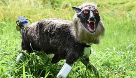 Der Roboter im Wolfspelz wird in Handarbeit gefertigt.