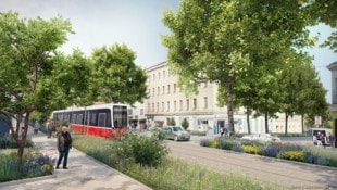 Bald sollen 52 neue Bäume für Begrünung sorgen. 