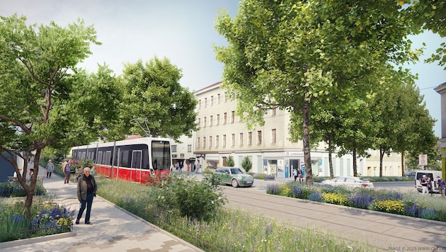 Bald sollen 52 neue Bäume für Begrünung sorgen.