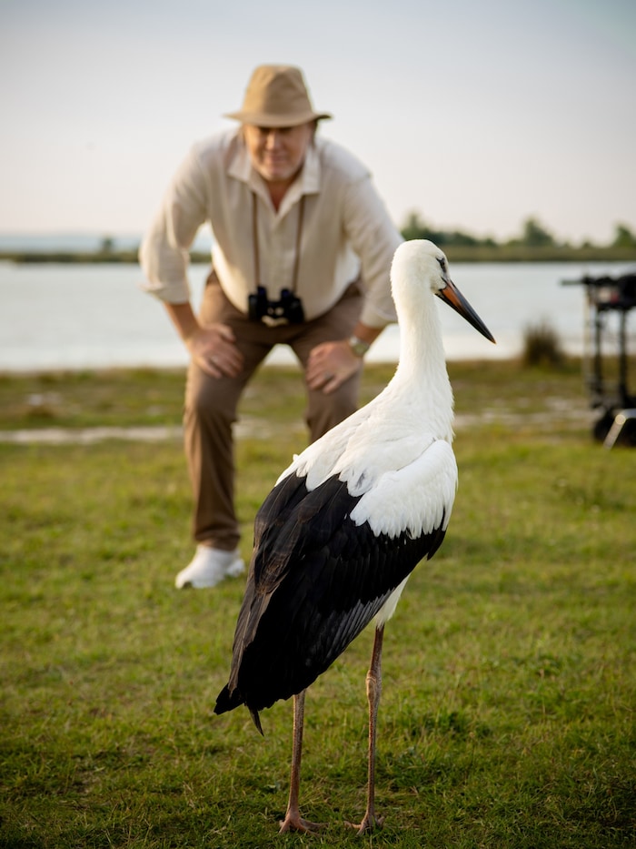 Der Storch hatte eine Nebenrolle.