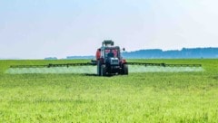 Die Landwirte kämpfen mit hohen Produktionskosten (Symbolbild).