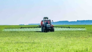 Die Landwirte kämpfen mit hohen Produktionskosten (Symbolbild).
