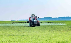 Die Landwirte kämpfen mit hohen Produktionskosten (Symbolbild).