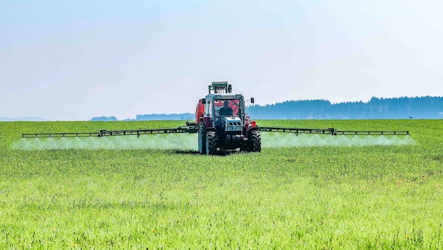 Die Landwirte kämpfen mit hohen Produktionskosten (Symbolbild).