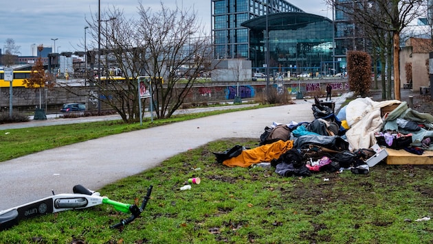 Aktuell muss die Berliner Stadtreinigung (BSR) 170 Millionen Euro pro Jahr für die Reinigung der ...