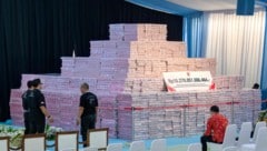 Der Berg aus Geld stammt aus illegalem Waldraub und wurde von Ermittlern an die indonesische ...