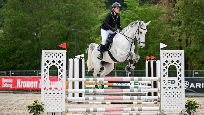 Springreiten in der „Krone“-Reitarena