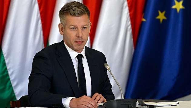 Péter Magyar gewann kürzlichh die Wahl gegen Ungarns Langzeit-Premierminister Victor Orban.