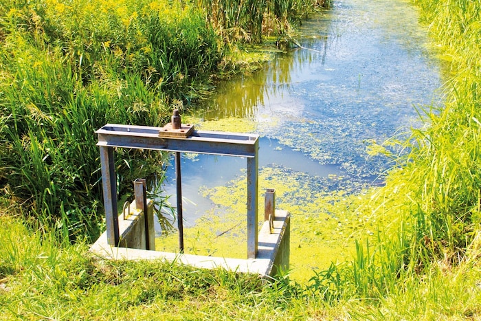 Wehre und Schleusen sollen Wasser länger in der Region halten. 2022 war die Sorge groß, der See ...