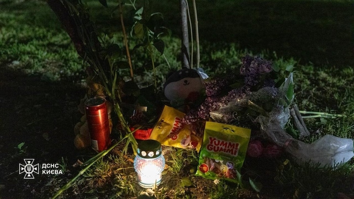 Drei Kinder starben bei den verheerenden Attacken.