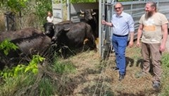 Der Verein Naturpark Leiser Berge bei der „Freilassung auf Zeit“ für die 14 fleißigen ...