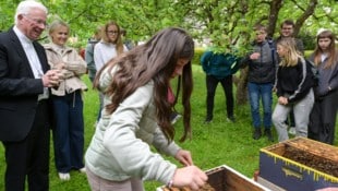 Erzbischof Franz Lackner freut sich über den bereits dritten Bienenstock