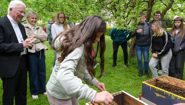 Erzbischof Franz Lackner freut sich über den bereits dritten Bienenstock