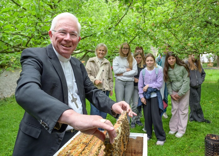 Hat keine Berührungsängste: Erzbischof Lackner beim neuen Bienenstock