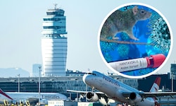 Drei Personen, die im selben KLM-Jet wie eine an der Infektion verstorbene Passagierin gesessen ...