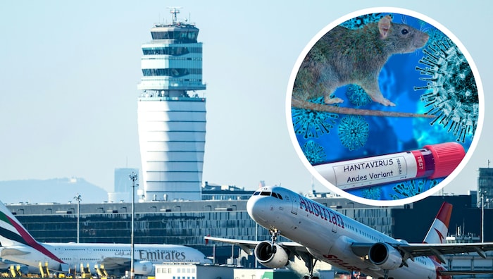 Three people who were seated on the same KLM flight as a passenger who died from the infection ...