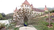 Das Beobachten der Pfaue im Park des Schlosses Eggenberg ist für viele Besucher ein Fixpunkt.