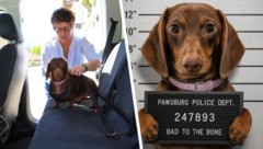 Evi Krismer sichert ihren Hund jetzt ordnungsgemäß. Ein Mugshot der „Täterin“ kursierte in den ...