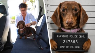Evi Krismer sichert ihren Hund jetzt ordnungsgemäß. Ein Mugshot der „Täterin“ kursierte in den ...