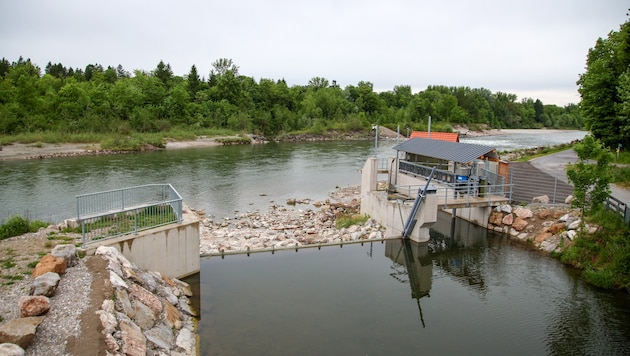 Das Wasserkraft in Bergheim-Muntigl ist seit einem halben Jahr in Vollbetrieb.
