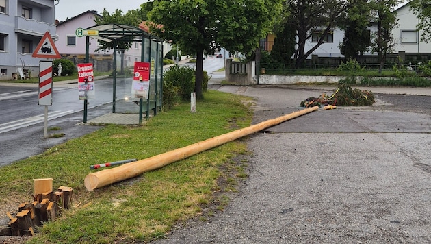 Der umgesägte Maibaum in Horitschon