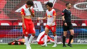 Ein gewohntes Bild: Die Bullen sind fassungslos.