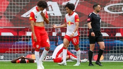 Ein gewohntes Bild: Die Bullen sind fassungslos.