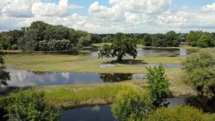 Geschickte Ausnutzung der Topografie für Wasserspeicherung: Win-Win-Situation für Klima und ...