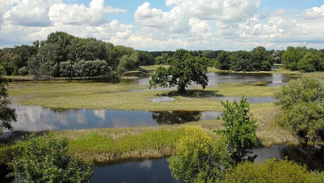 Geschickte Ausnutzung der Topografie für Wasserspeicherung: Win-Win-Situation für Klima und ...
