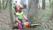 Waldarbeit ist wichtig; muss sich aber auch auszahlen – und Freude bereiten, sagen die Vertreter ...