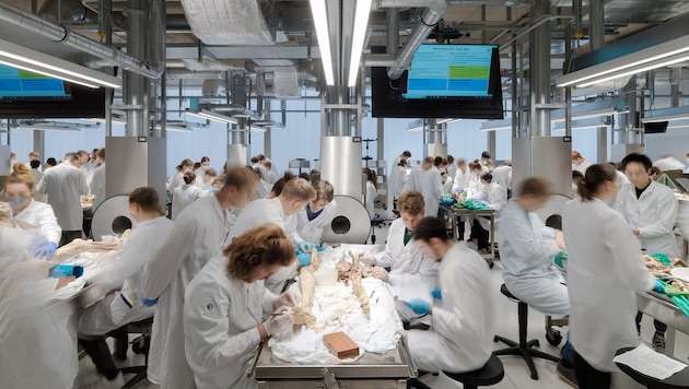 Im Vorjahr wurden mehrere Hundert Körper an die Med Uni Graz gespendet – aus der Steiermark und ...
